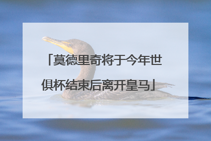 莫德里奇将于今年世俱杯结束后离开皇马